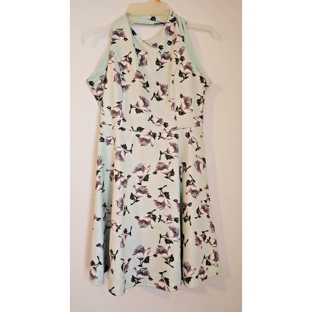 Francesca's Light Green Floral Dress Size S